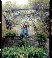 Gear 5 Devil Fruit (Smoke Blue)